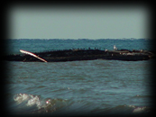 754 Panama Wreck above water